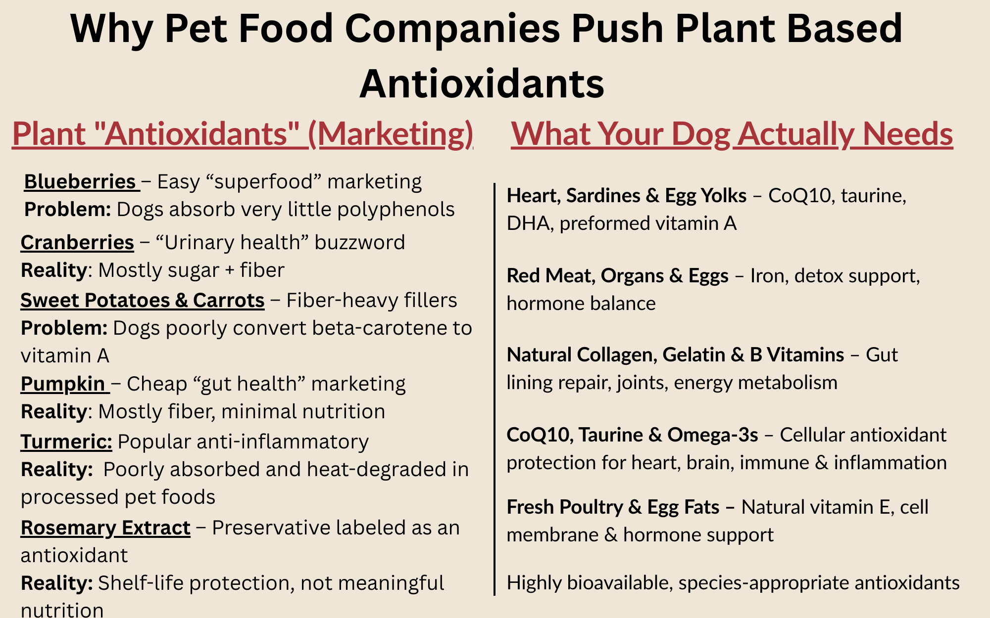 Photo inspiration: Gallery Detail: Why Pet Food Companies Push Plant Based Antioxidants And Why