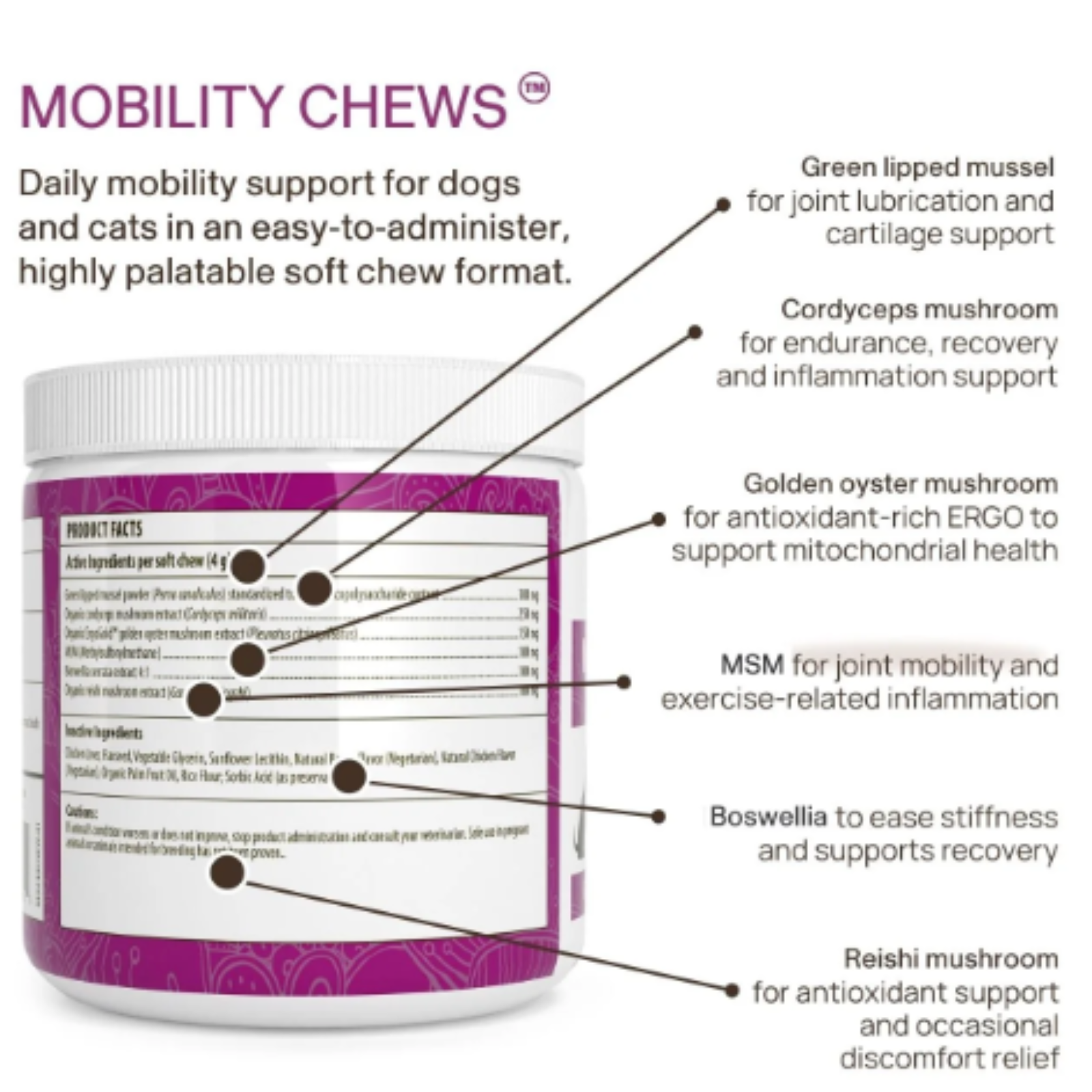 Mushroom Mobility Pet Chews