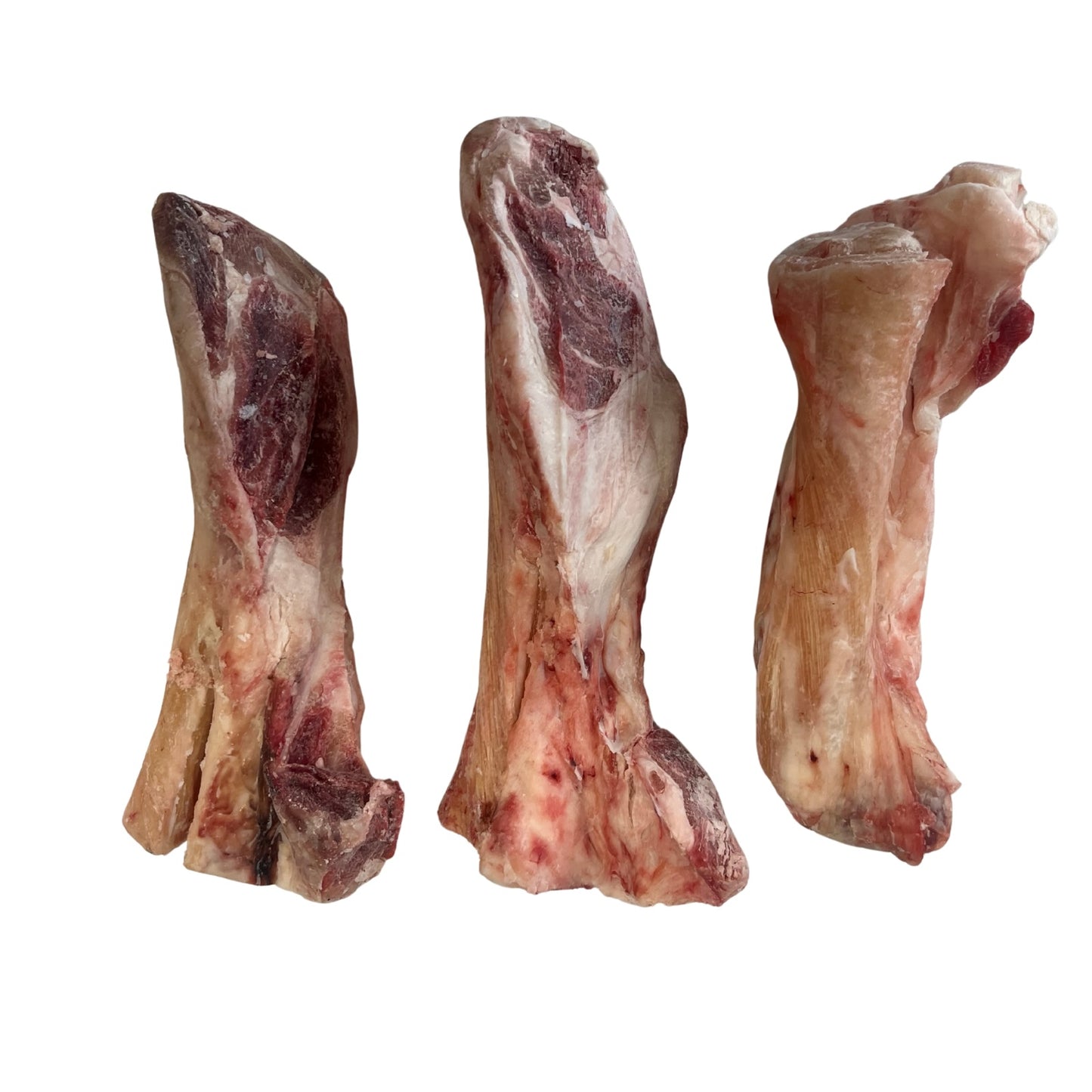 Raw Grass Fed Beef Tendons