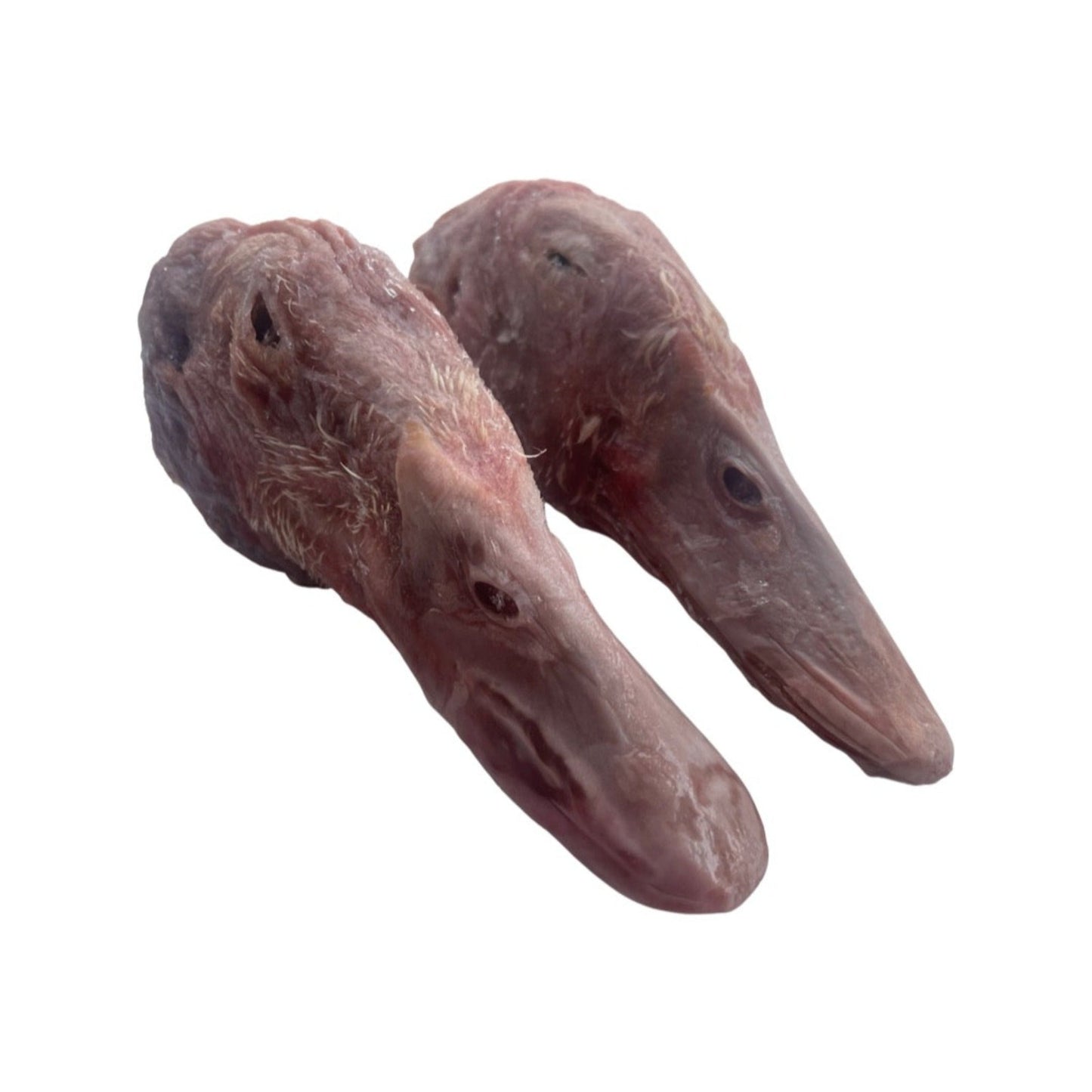 Raw Organic Duck Heads