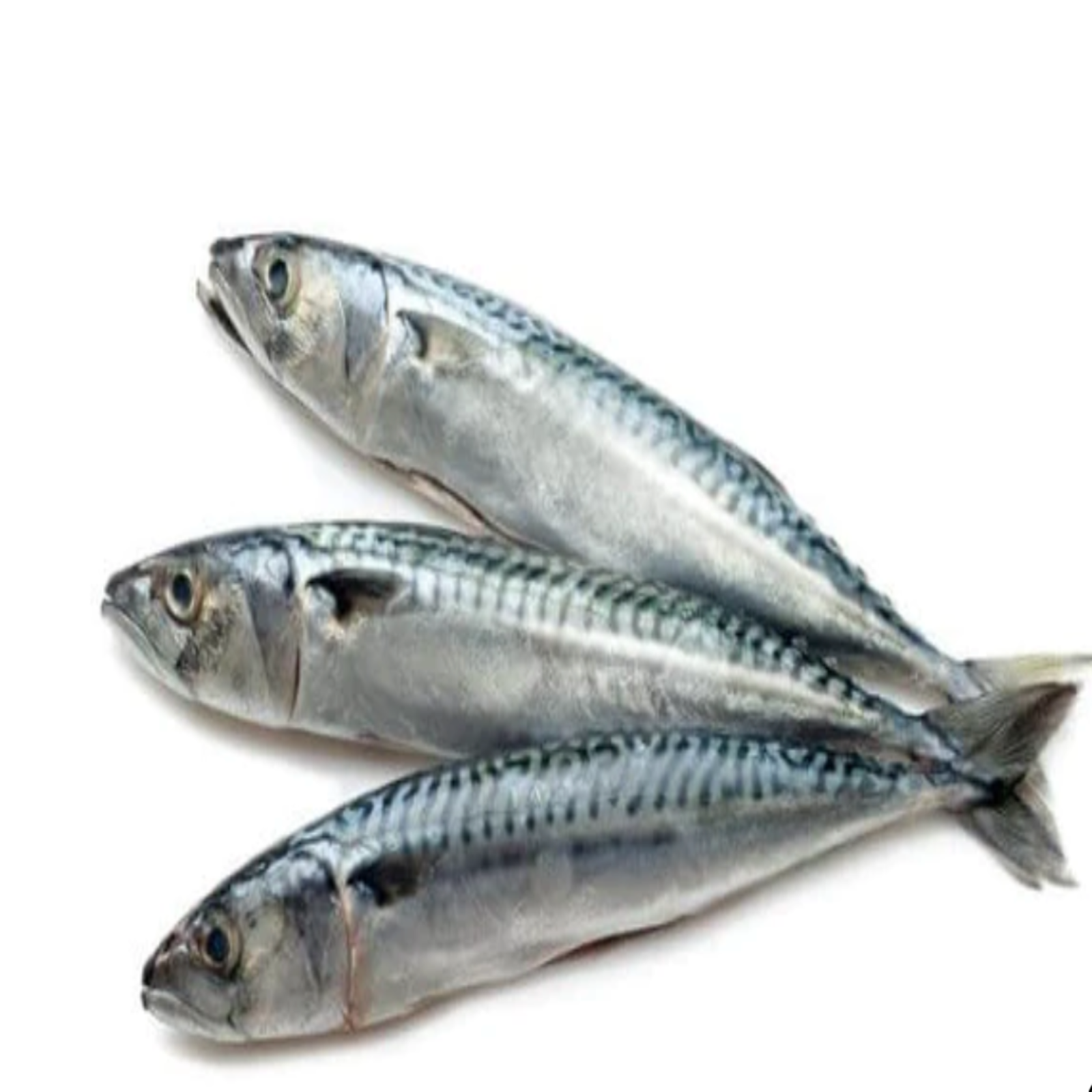 Raw Whole Sardines