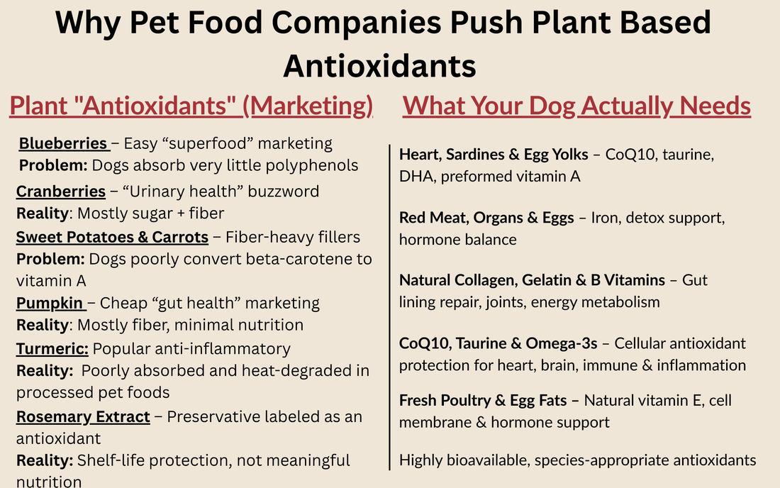 Why Pet Food Companies Push Plant-Based Antioxidants (And Why Dogs Don’t Need Them)