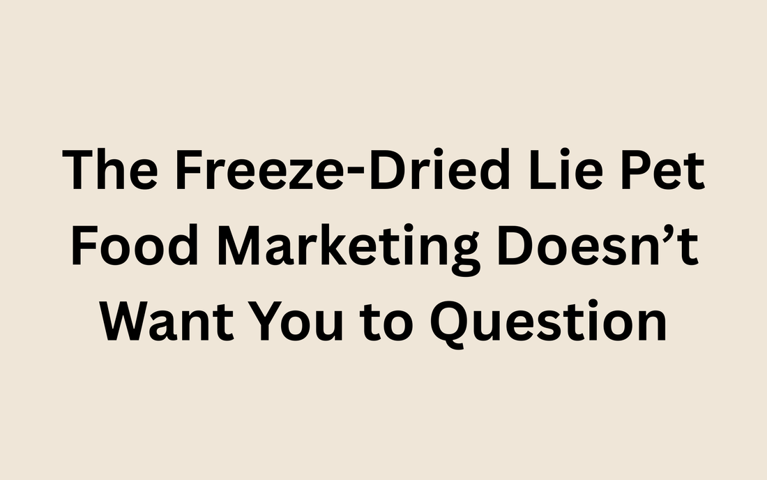 The Freeze-Dried Lie Pet Food Marketing Doesn’t Want You to Question