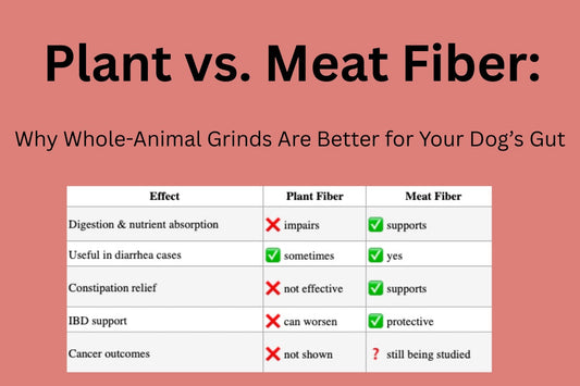 Plant vs. Meat Fiber: Why Whole-Animal Grinds Are Better for Your Dog’s Gut