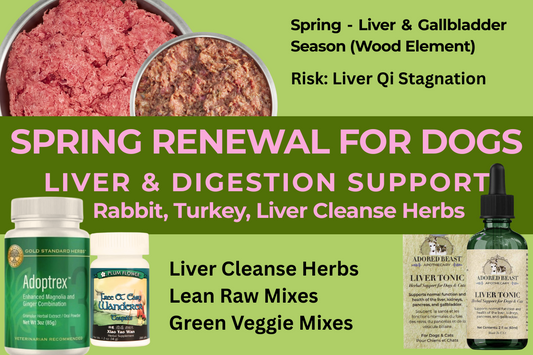 Spring Renewal for Dogs: Supporting the Liver and Digestion with TCM