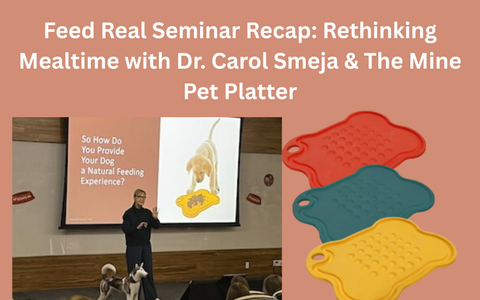 Feed Real Seminar Recap: Rethinking Mealtime with Dr. Carol Smeja &amp; The Mine Pet Platter