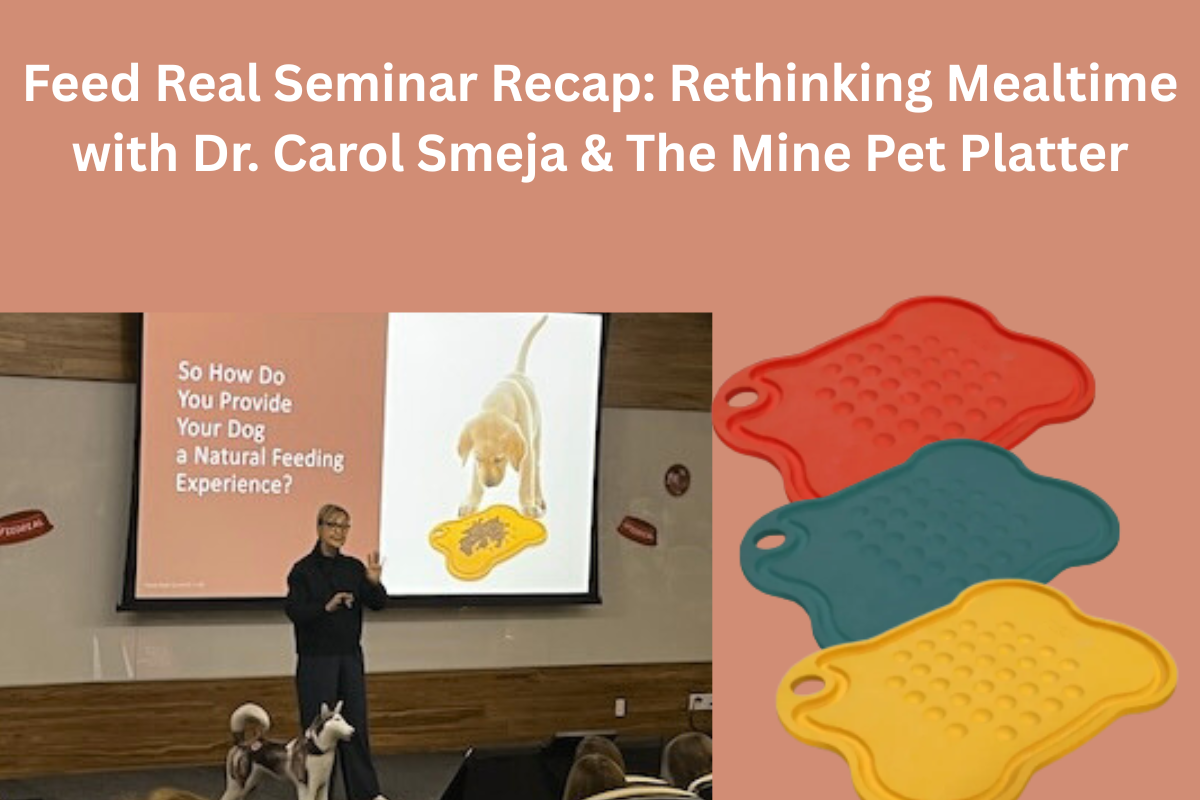 Feed Real Seminar Recap: Rethinking Mealtime with Dr. Carol Smeja &amp; The Mine Pet Platter