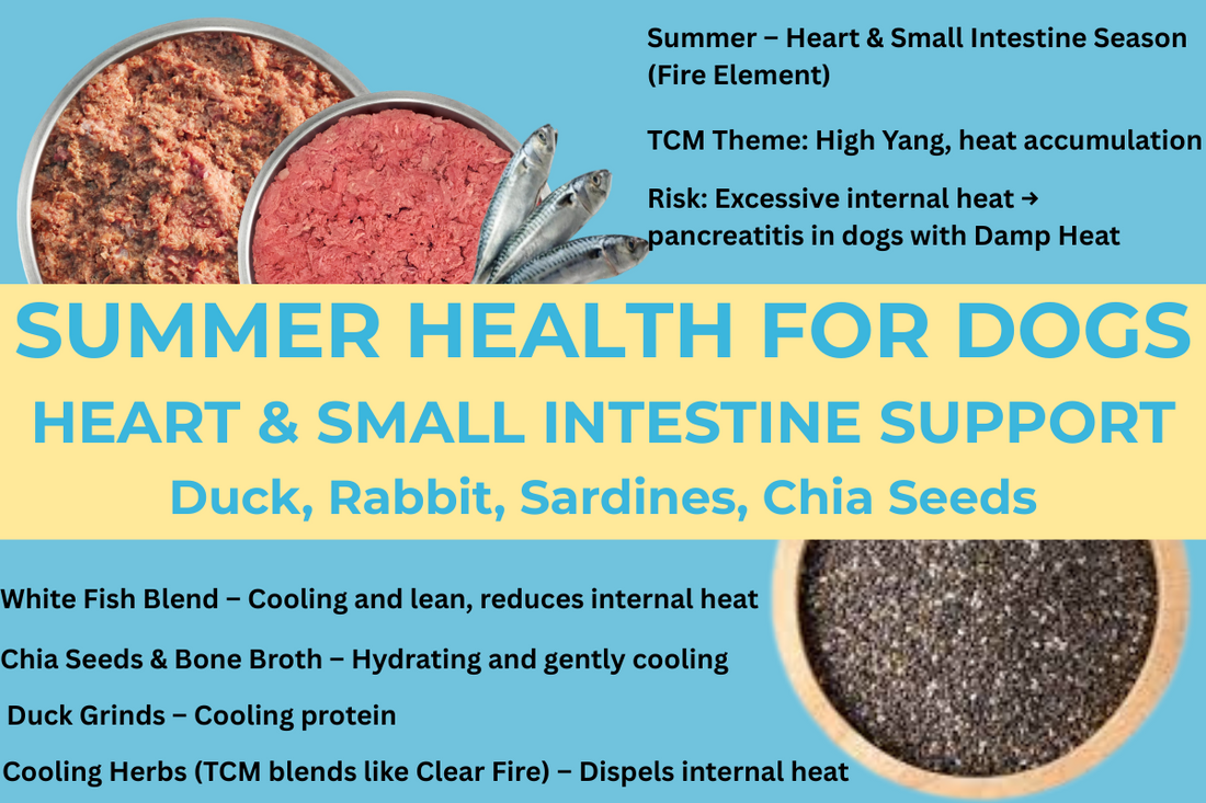 Summer Health for Dogs: Support the Heart and Small Intestine with Cooling Foods and Herbs