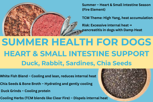 Summer Health for Dogs: Support the Heart and Small Intestine with Cooling Foods and Herbs