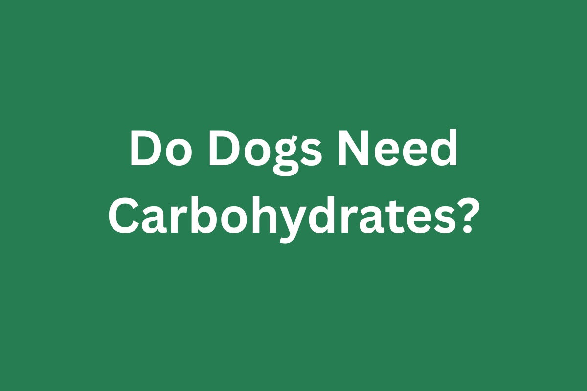 Do Dogs Need Carbohydrates?