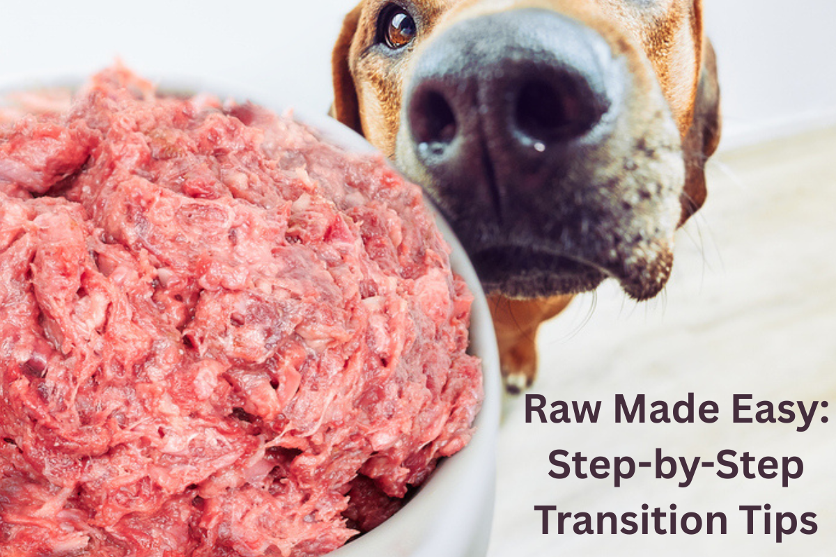 Transitioning Your Dog to a Raw Food Diet