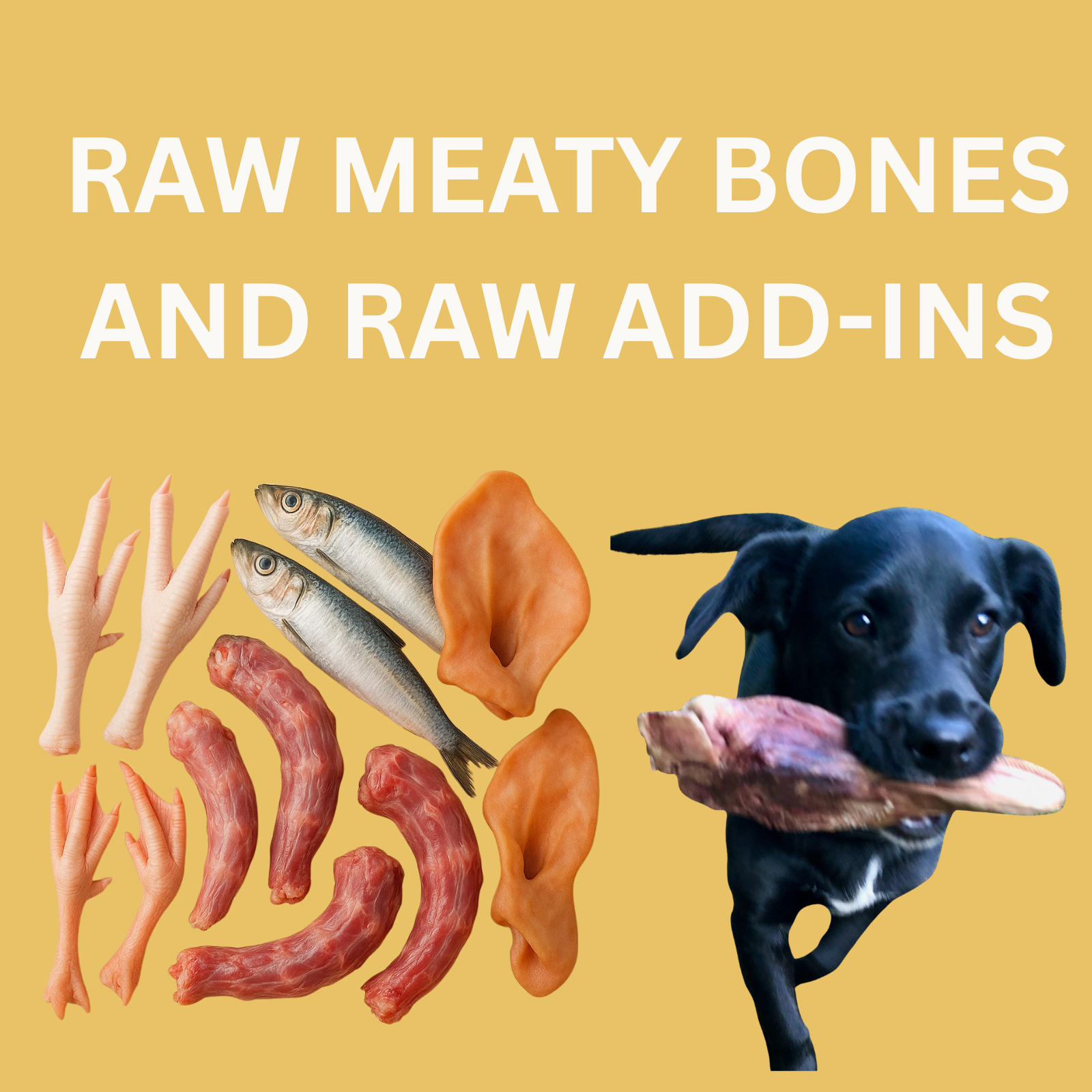 Raw Meaty Bones & Animal Parts