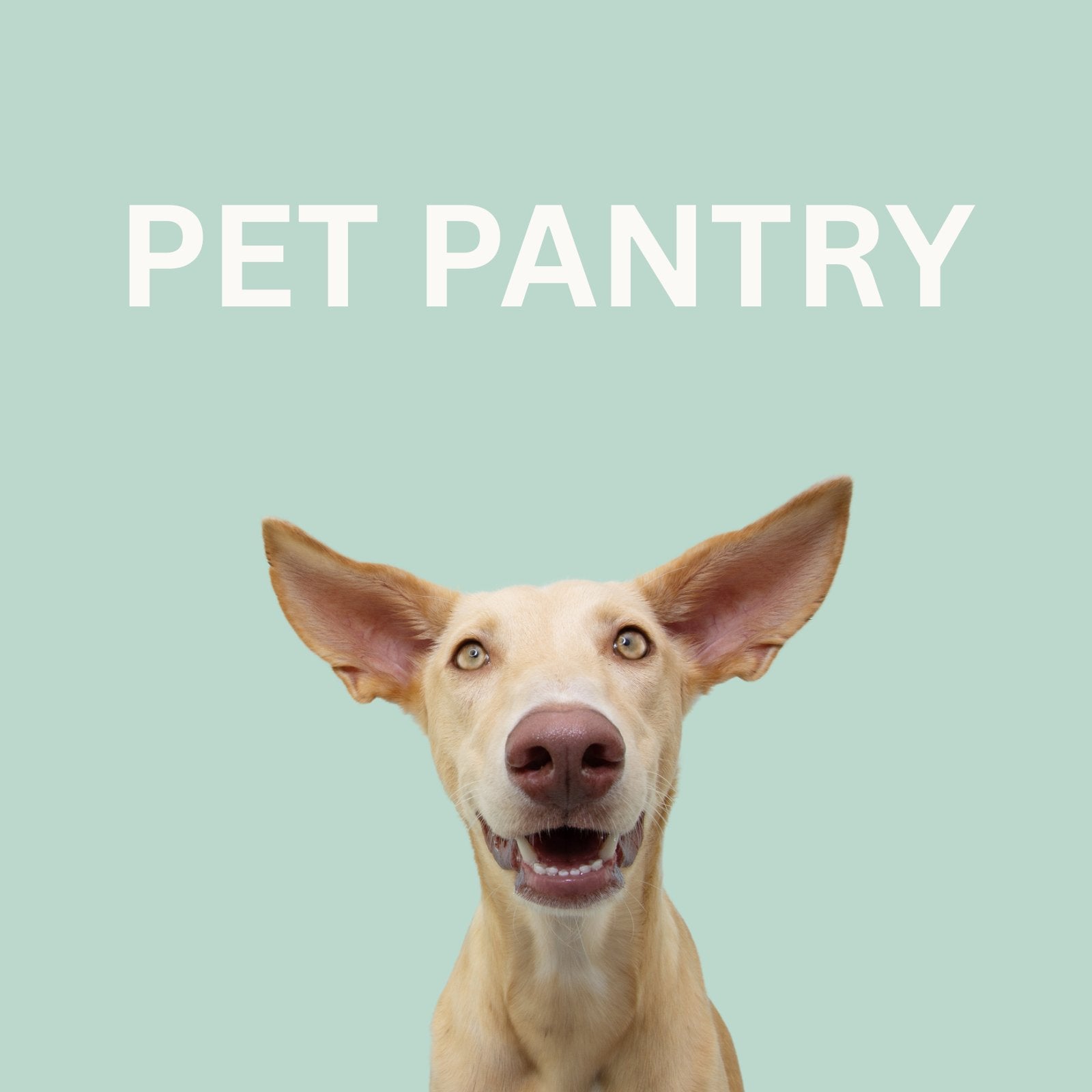 Pet Pantry