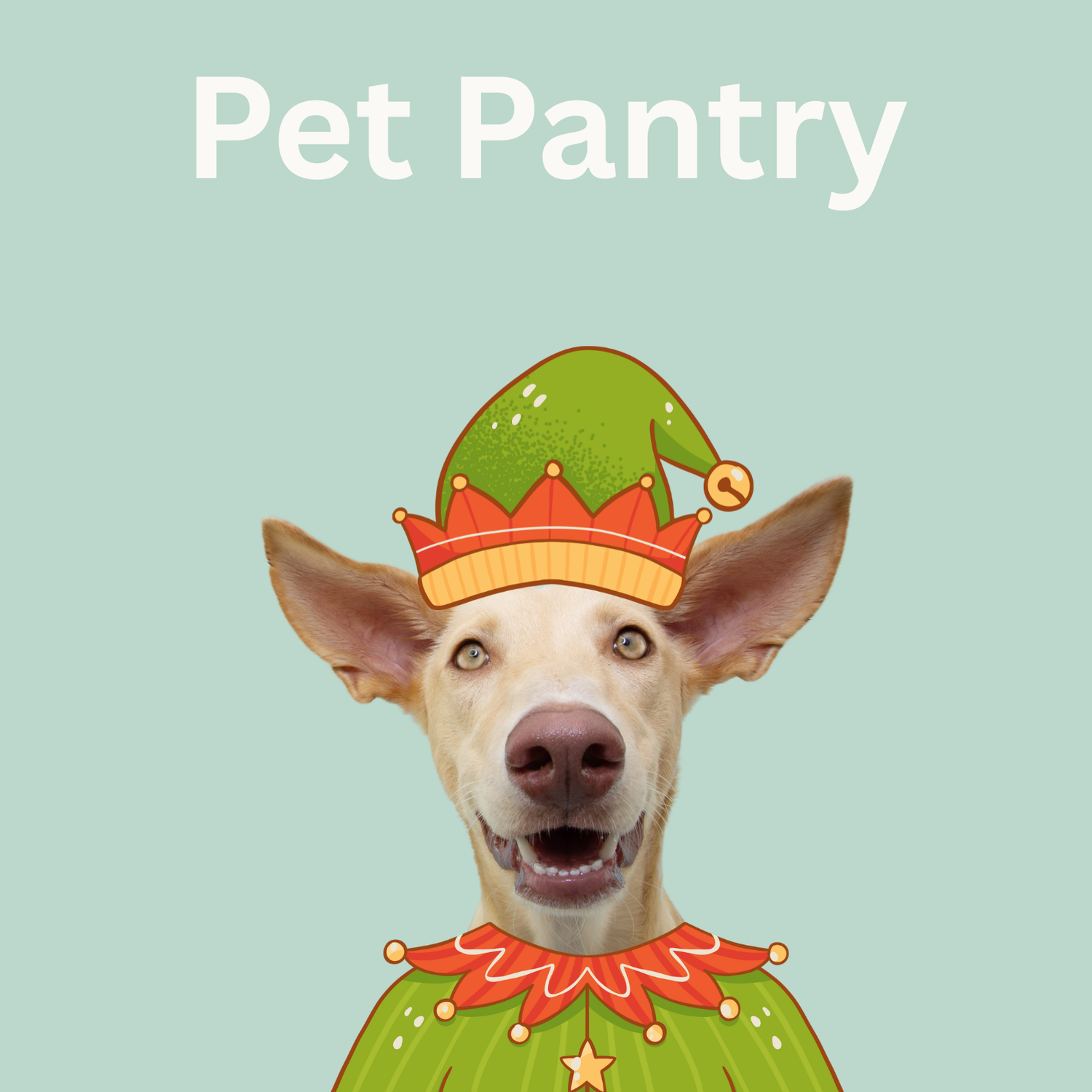 Pet Pantry
