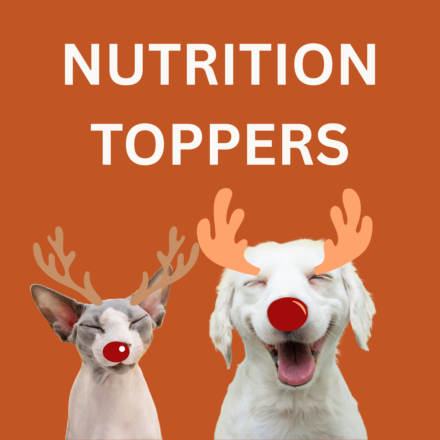 Nutrition Toppers