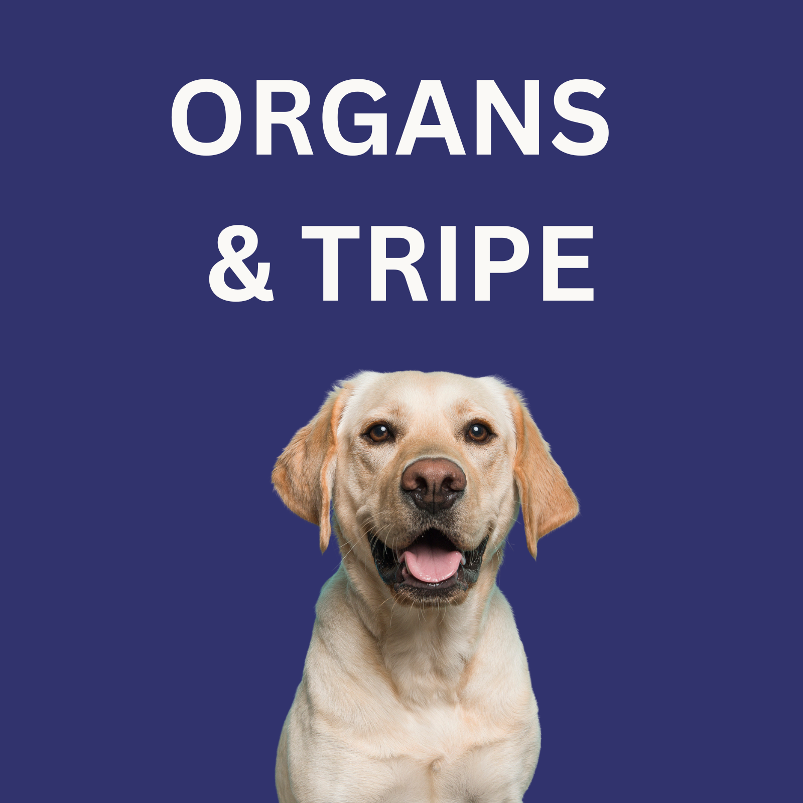 Green Tripe, Organs, & Whole Fish