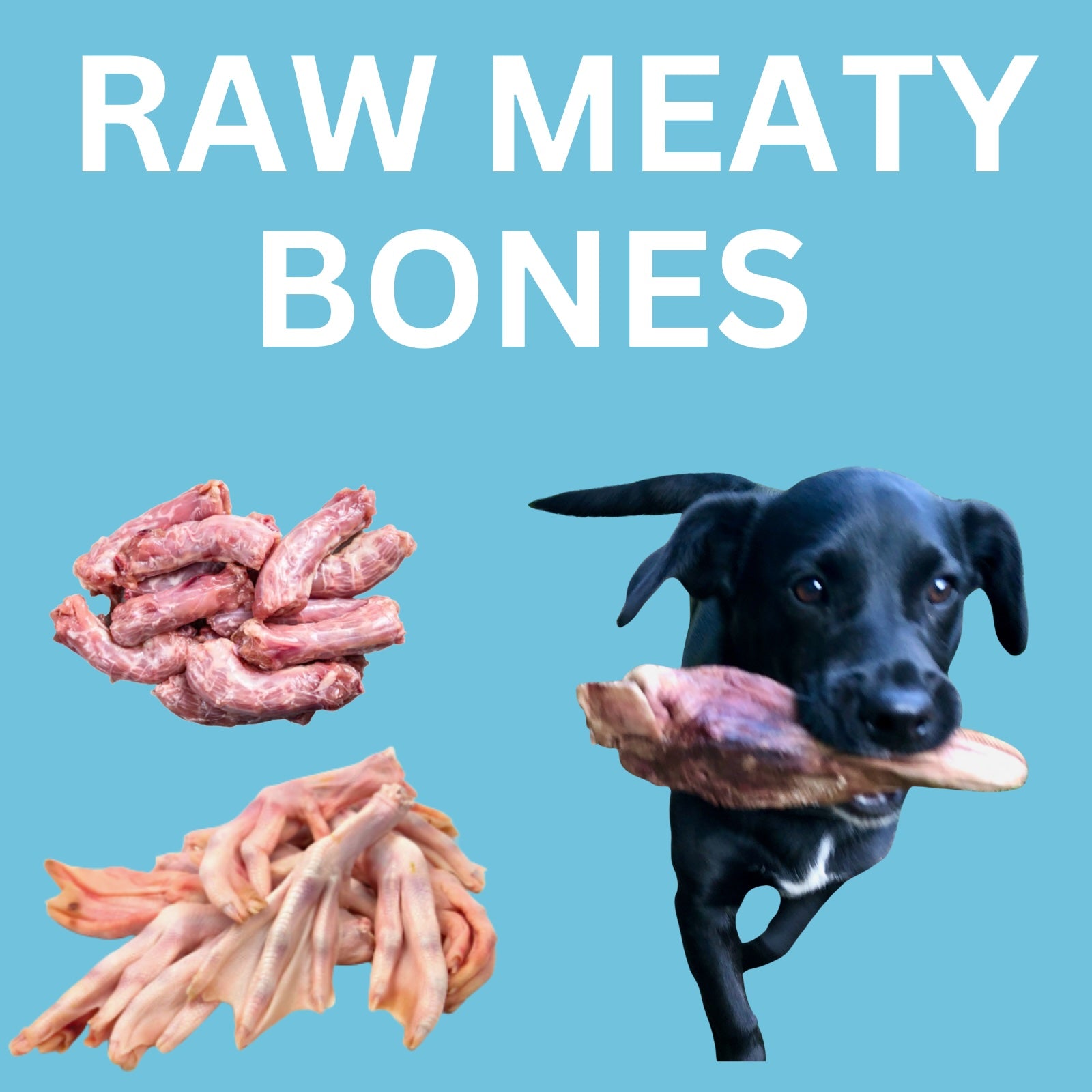 Raw Meaty Bones & Animal Parts