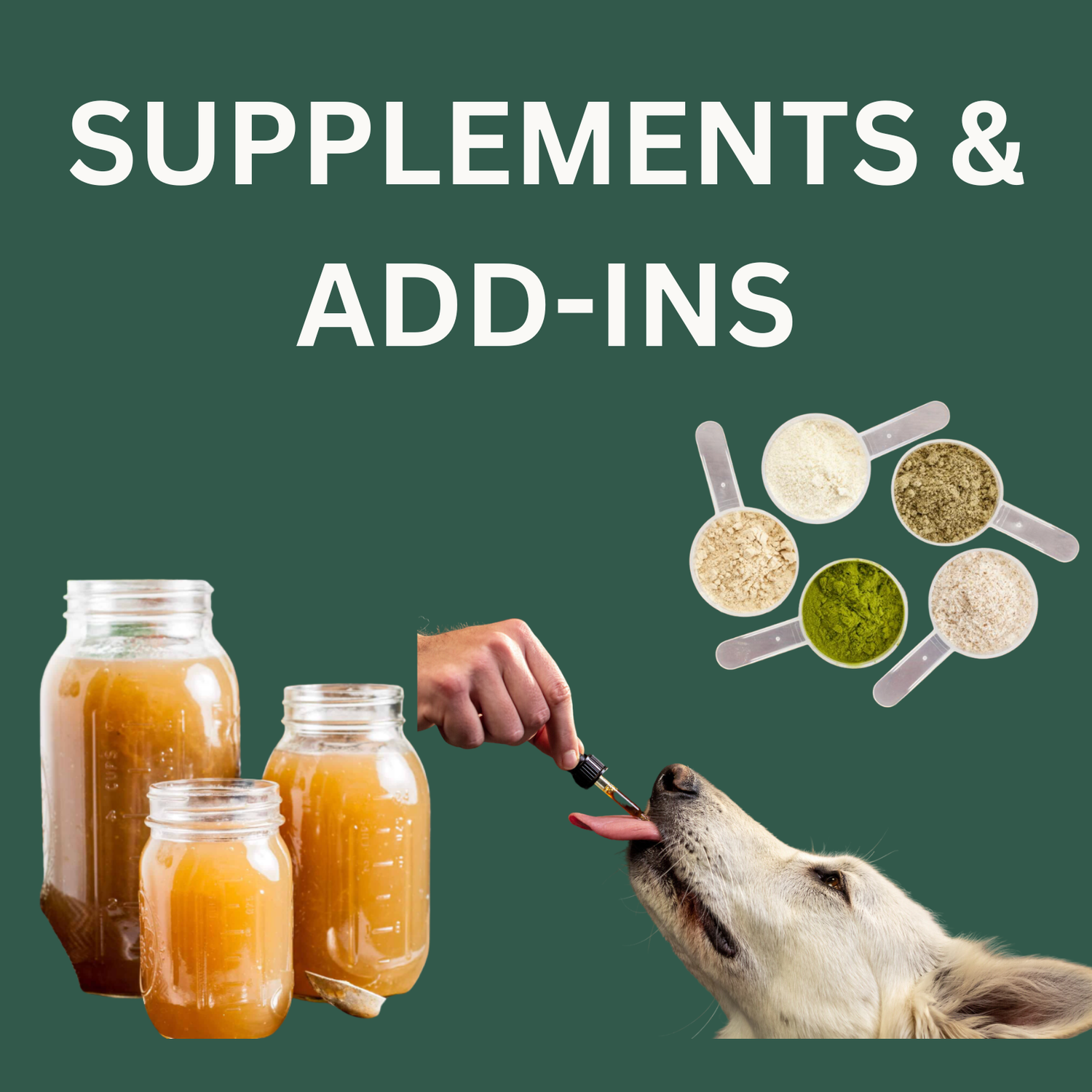 Supplements & Add-Ins