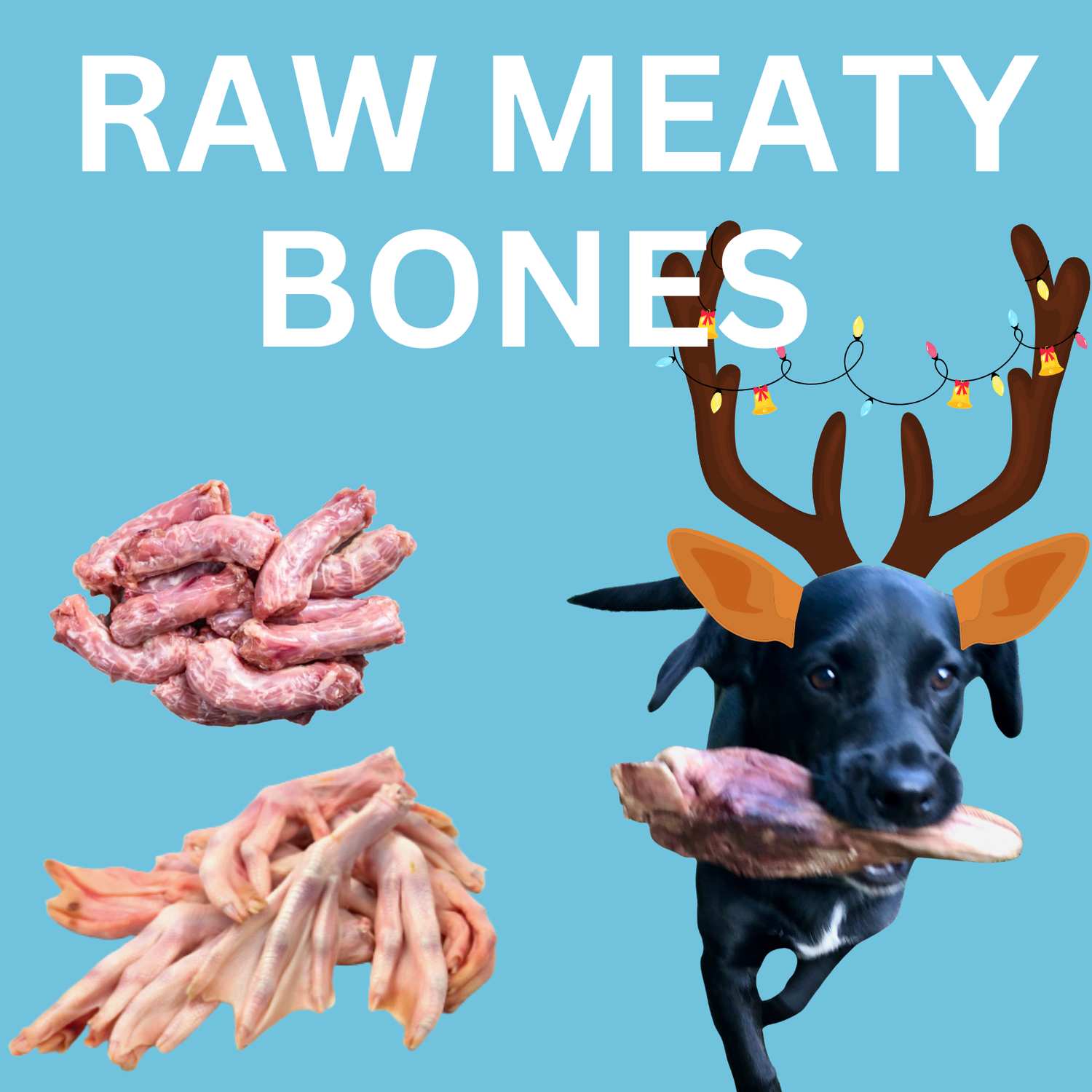 Raw Meaty Bones & Animal Parts