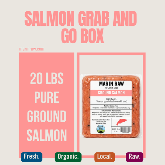 Grab & Go | 20 lb | Ground Salmon