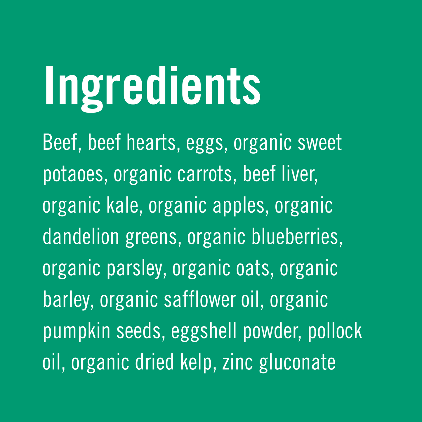 Evermore | Beef Recipe for Dogs