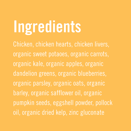 Evermore | Chicken Recipe for Dogs