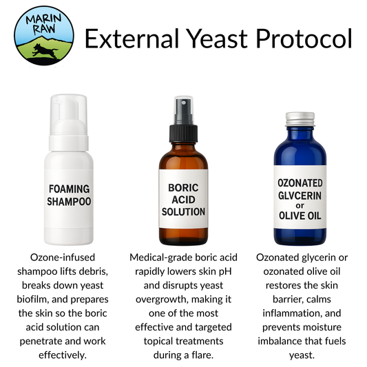 Balanced by Nature™  External Yeast Protocol | Yeast