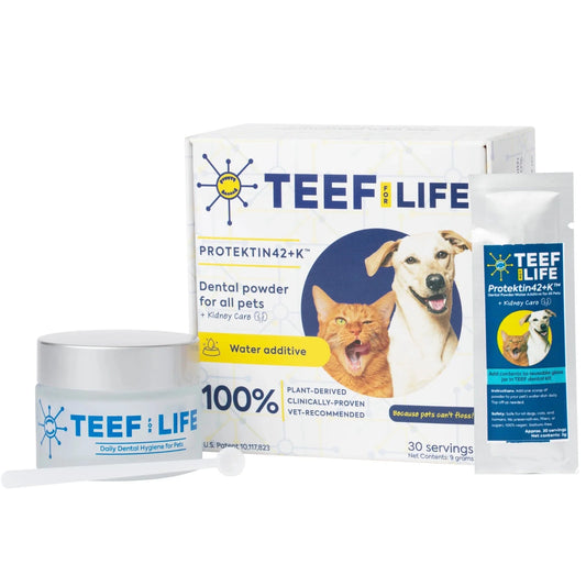 TEEF for Life - Dental Kit: Powder water additive for ALL pets + Kidney care