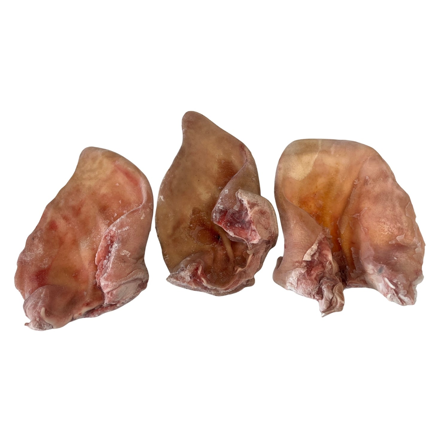 Raw Pig Ears