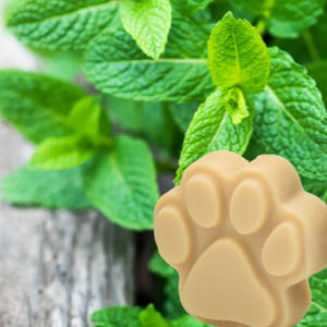 Rich Lathering Milk Based Shampoo Bar 5 oz Paw Print