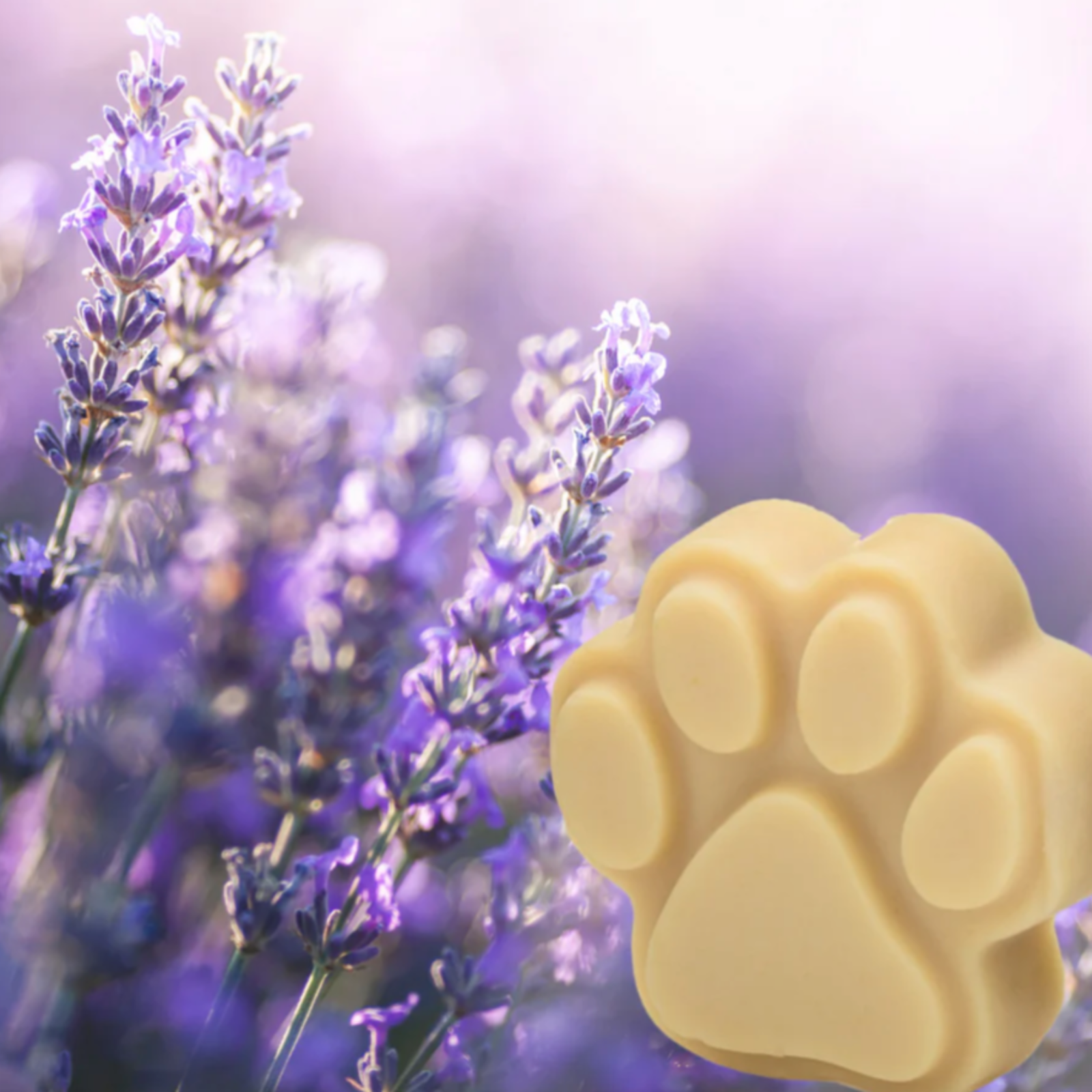 Rich Lathering Milk Based Shampoo Bar 5 oz Paw Print