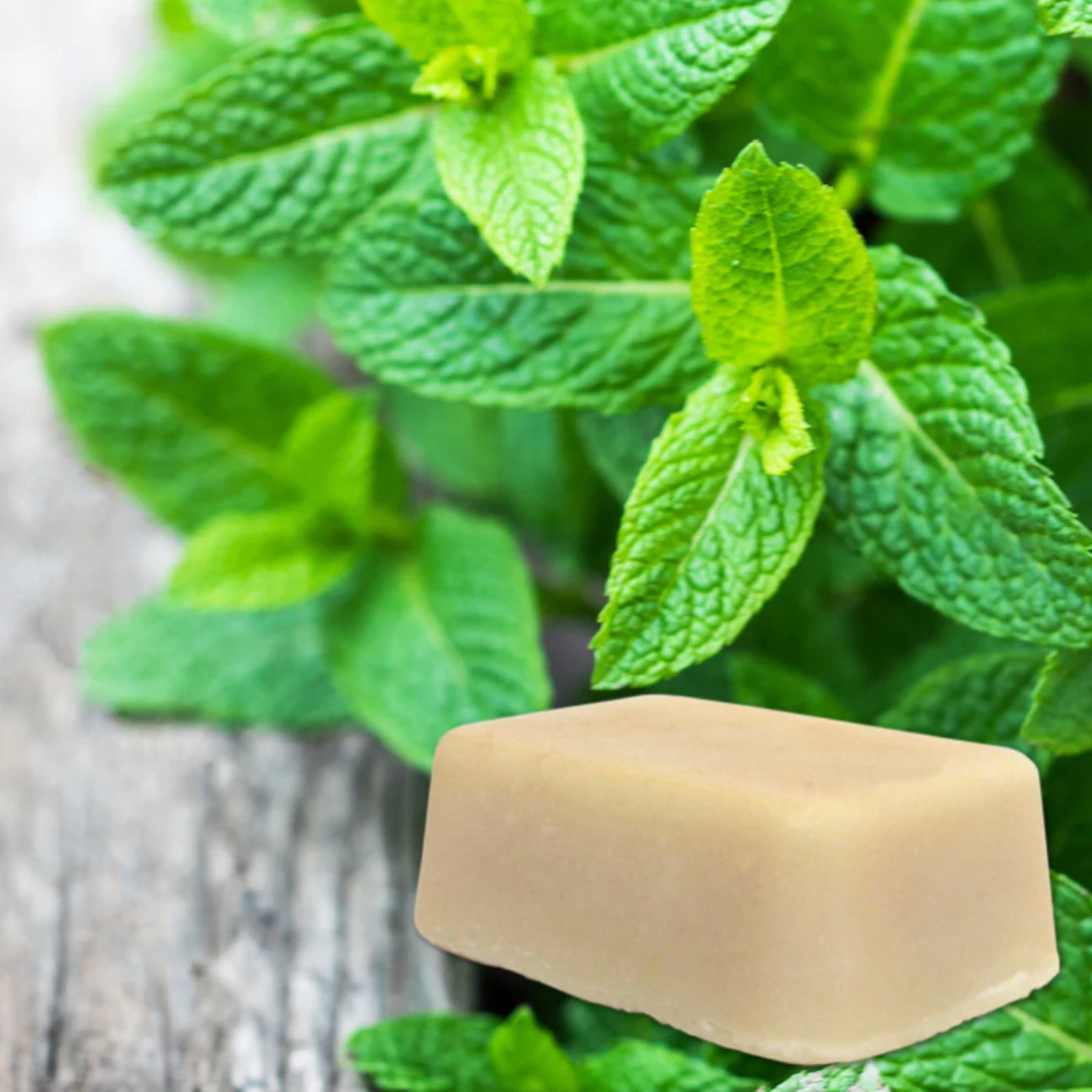 Rich Lathering Milk Based Shampoo Bar 2.5 oz bar