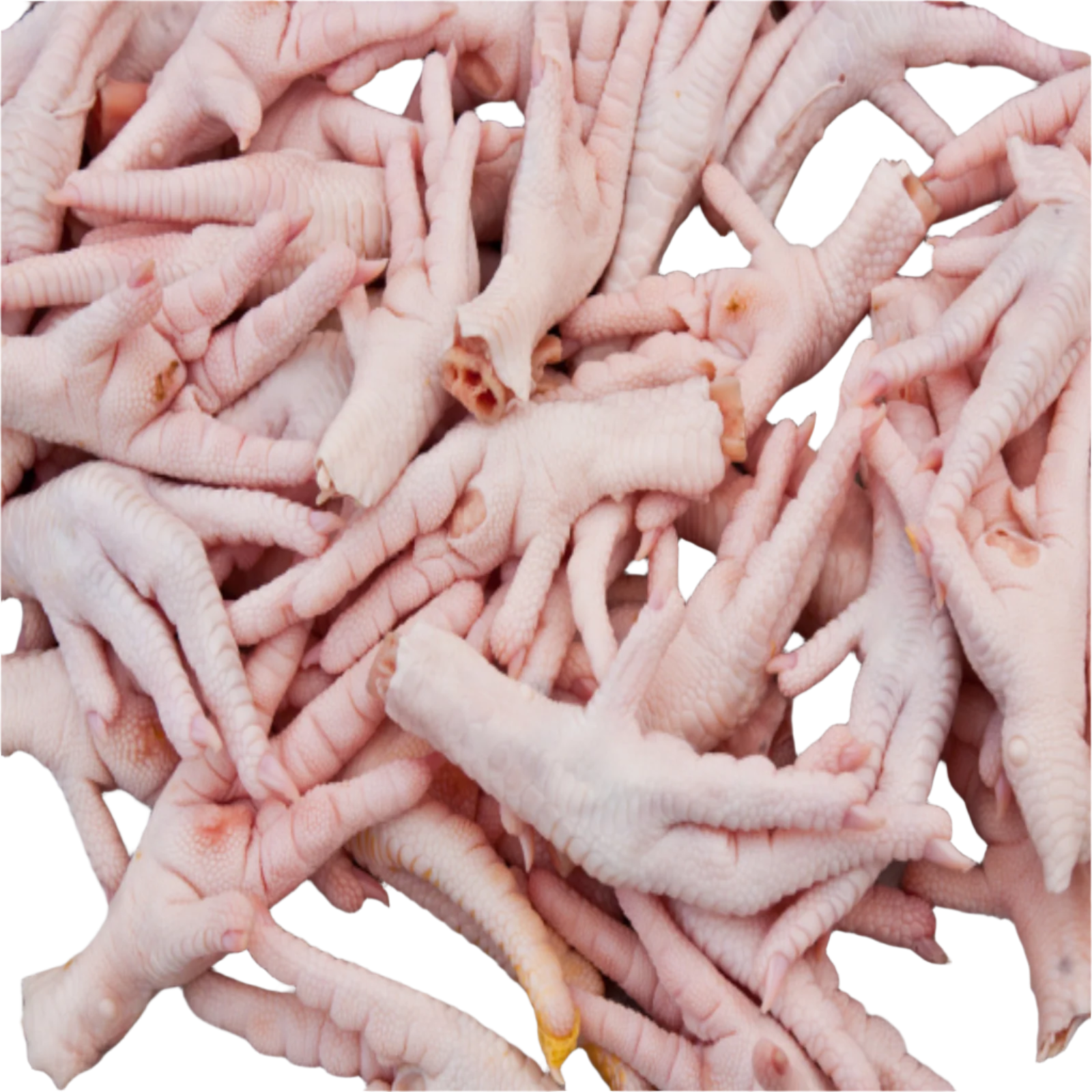 Raw Chicken Feet | 5lb Bag