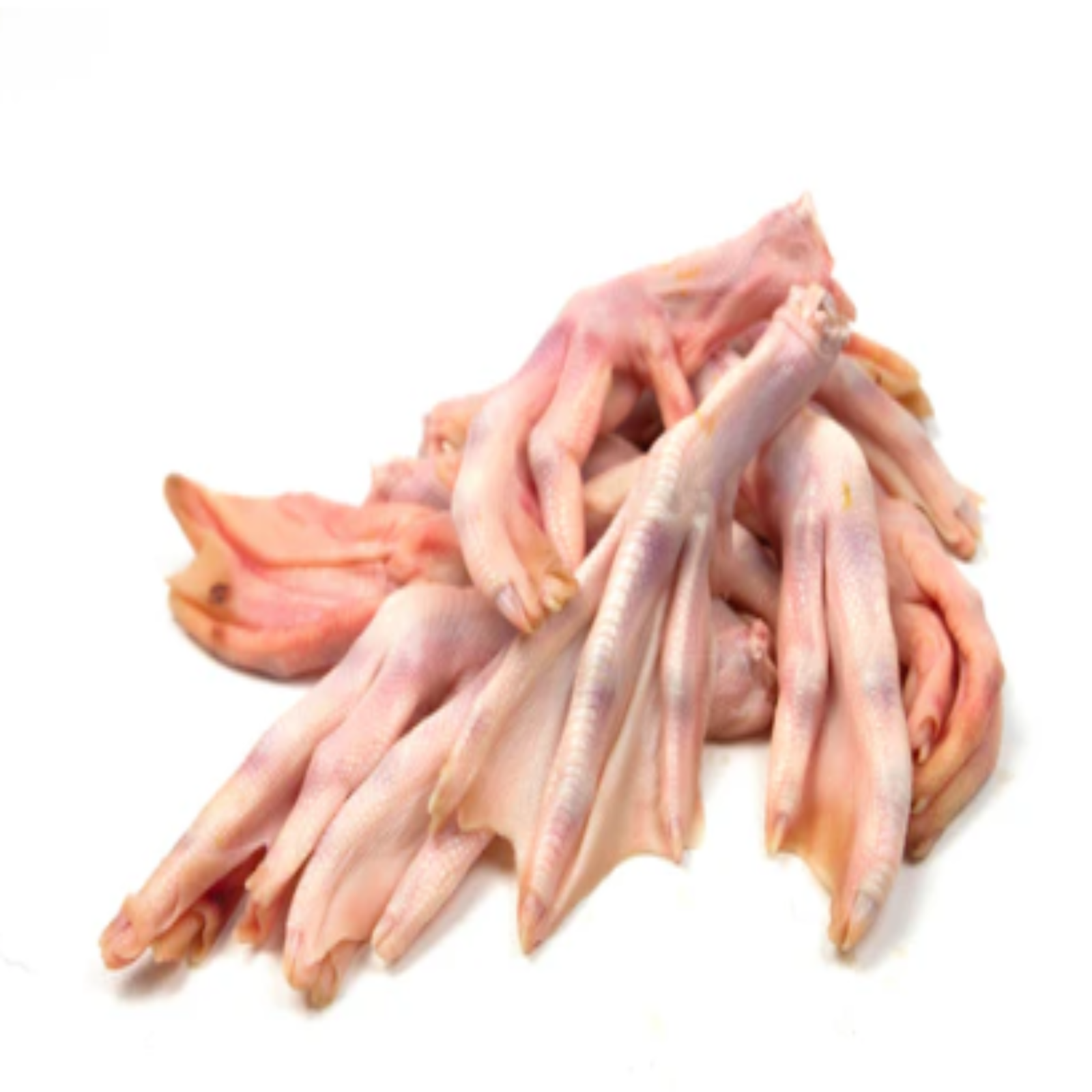 Raw Organic Duck Feet