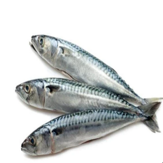 Raw Whole Sardines