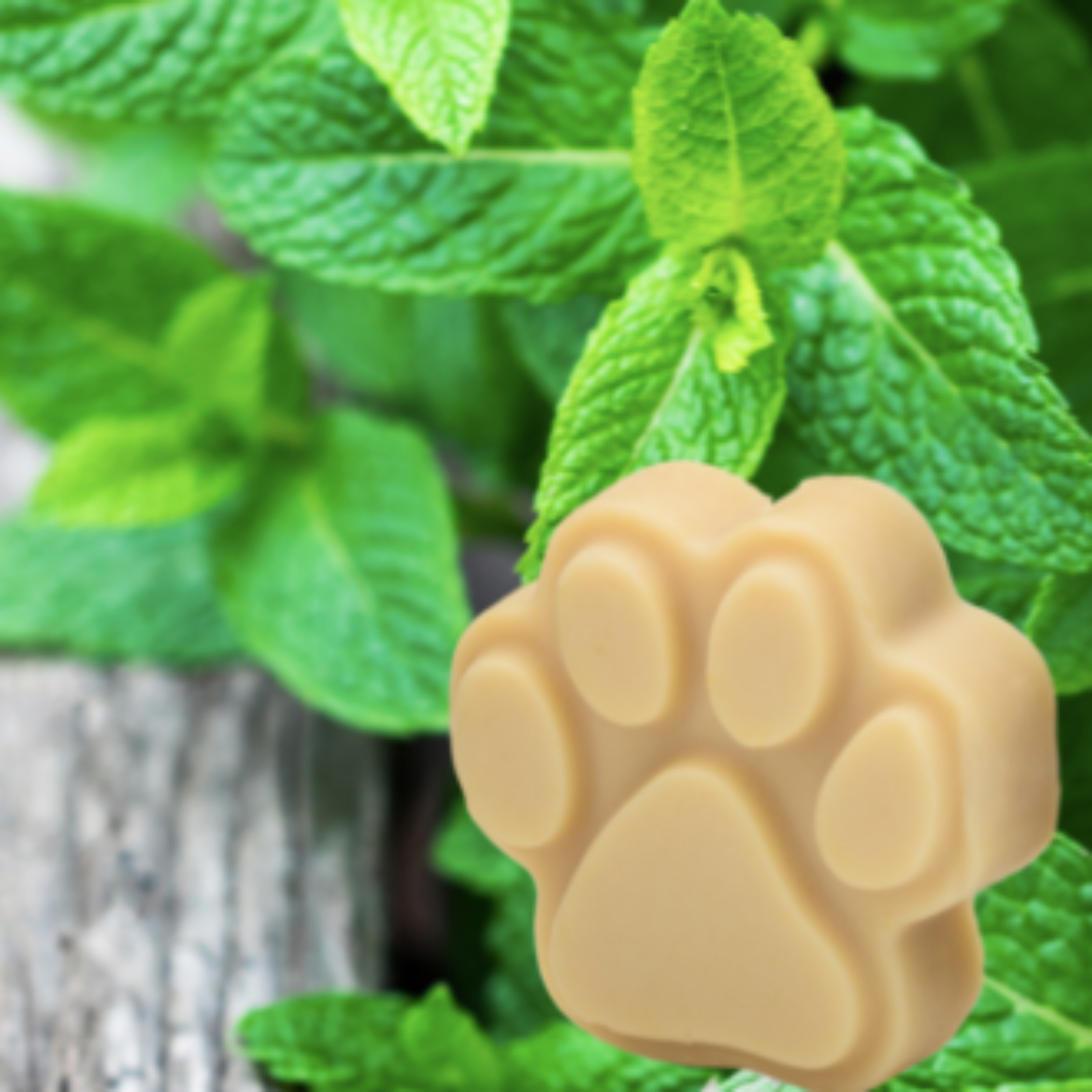 Sheep Milk Based Hand Made Soap