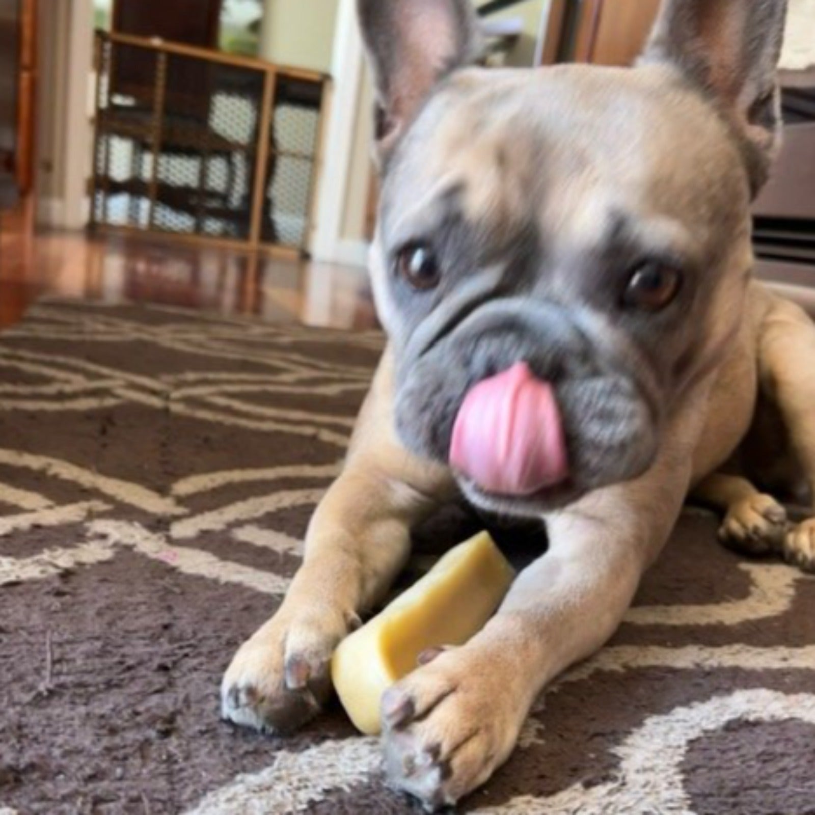 Yak Cheese Stick